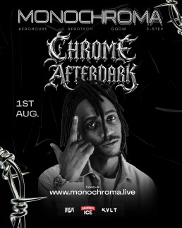 Chrome After Dark artist portrait flyer